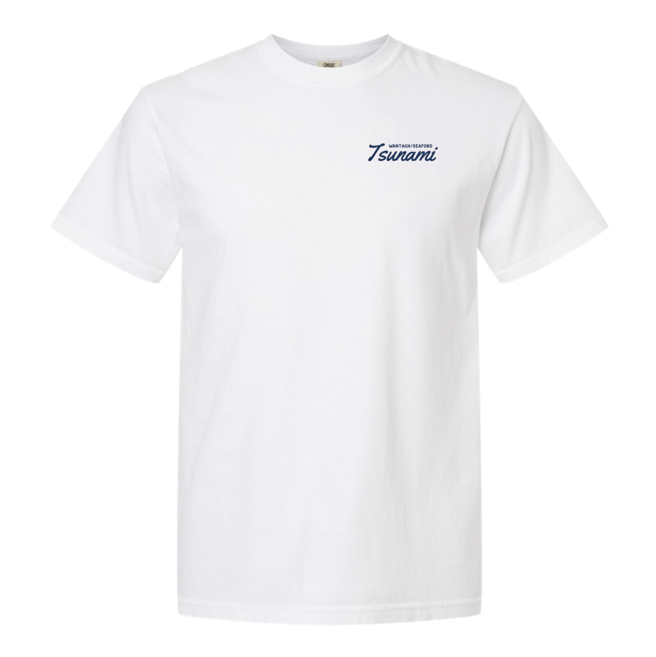 WSPAL Tsunami Vintage Destination | Heavyweight T-Shirt