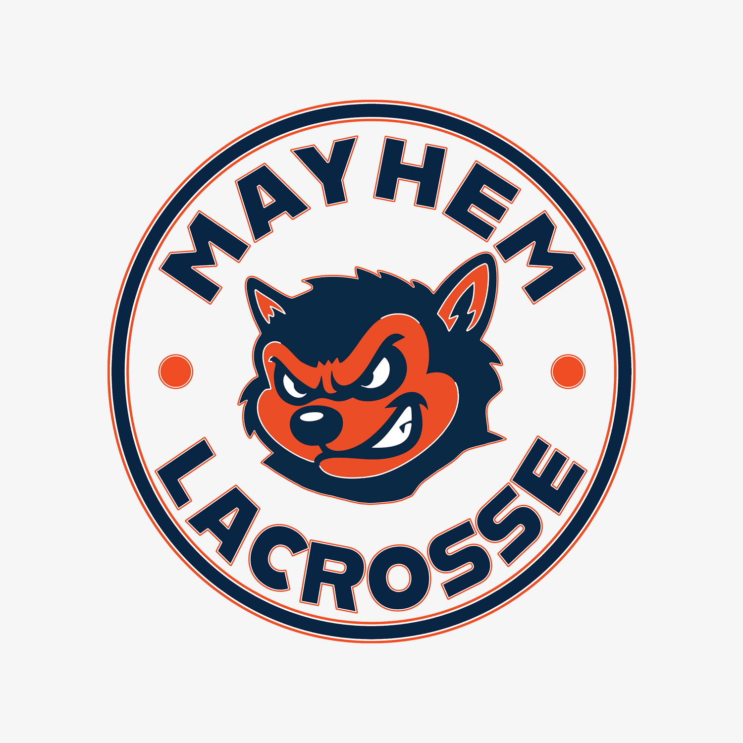 Team 91 Mayhem