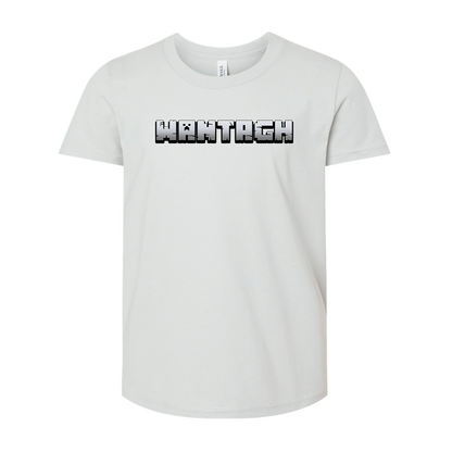 Minecraft | T-Shirt