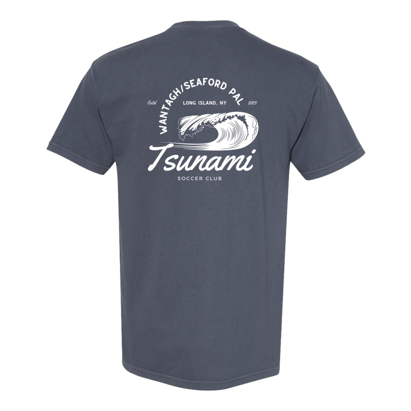 WSPAL Tsunami Vintage Destination | Heavyweight T-Shirt